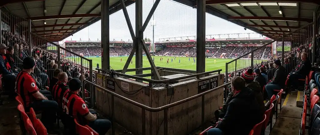Il peggior posto dove sedersi al Vitality Stadium background image